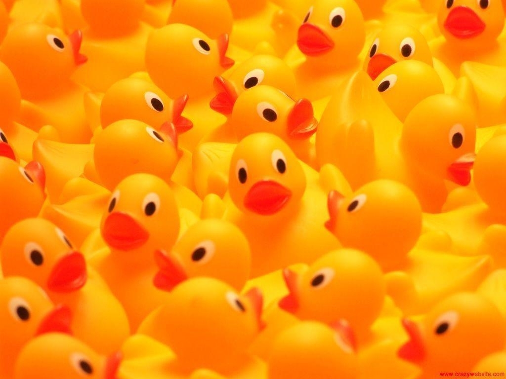 10 Top Rubber Duck Wall Paper FULL HD 1080p For PC Background 2020