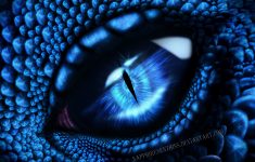 sapphire dragon eye wallpaper from eyes wallpapers