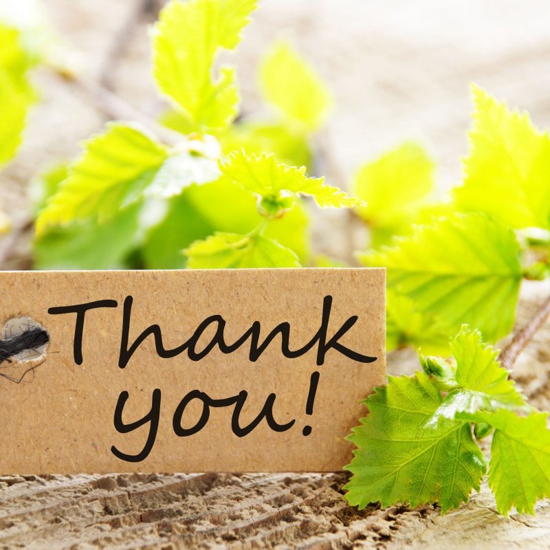 10 Latest Thank You Hd Images Full Hd 1080p For Pc Background 2021