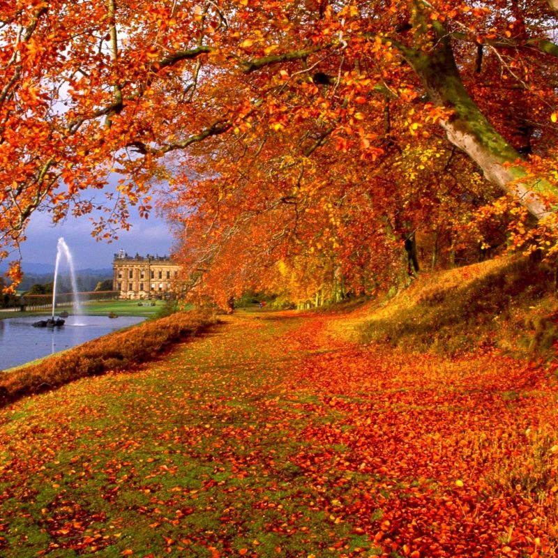 10 New Fall Scene Desktop Background FULL HD 1080p For PC Background 2024 free download screensavers and wallpaper autumn scene 53 images 800x800