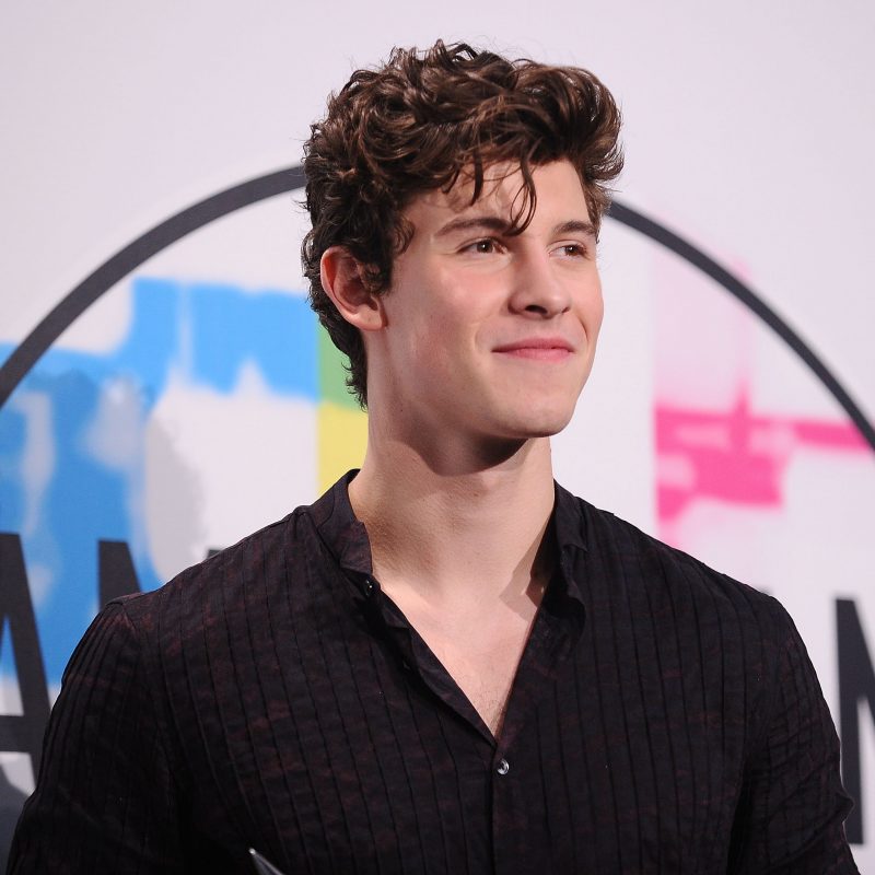 10 Best Pictures Of Shawn Mendez FULL HD 1920×1080 For PC Background 2024 free download shawn mendes got a bird tattoo on his hand teen vogue 800x800