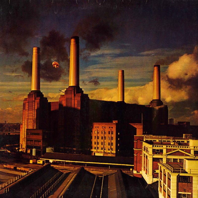 10 Most Popular Pink Floyd Animals Wallpaper FULL HD 1920×1080 For PC Background 2024 free download similiar pink floyd animals wallpaper keywords android pinterest 800x800