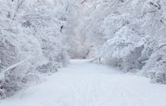 snow | snow road wallpapers | snow | pinterest | snow pictures