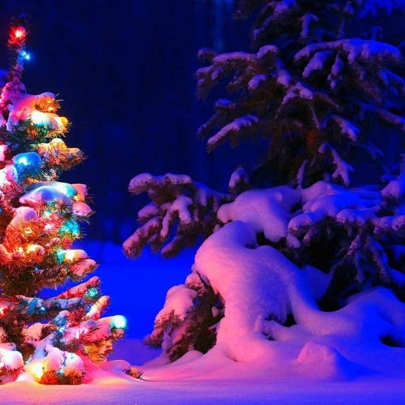 10 New Christmas Lights Wallpaper Hd Widescreen FULL HD 1920×1080 For PC Desktop 2024 free download snowy christmas tree lights wallpapers hd wallpapers id 17824 800x800