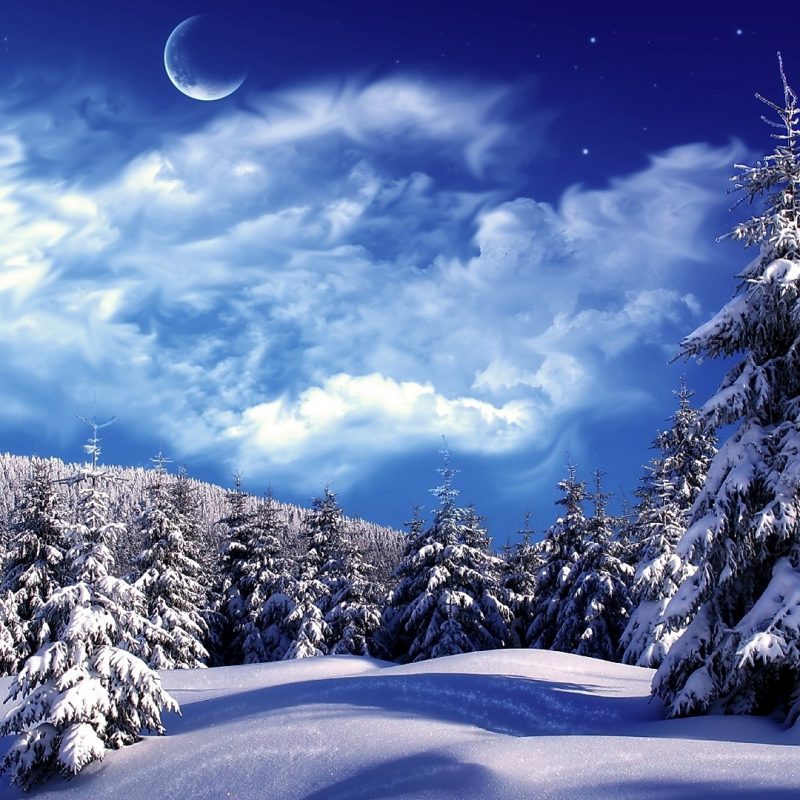 10 Best Pictures Of Snow Scenes FULL HD 1080p For PC Background 2023 free download snowy winter scenes wallpaper snowy wonderland mountain scene 1 800x800