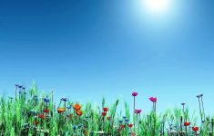 spring backgrounds image free - wallpaper cave