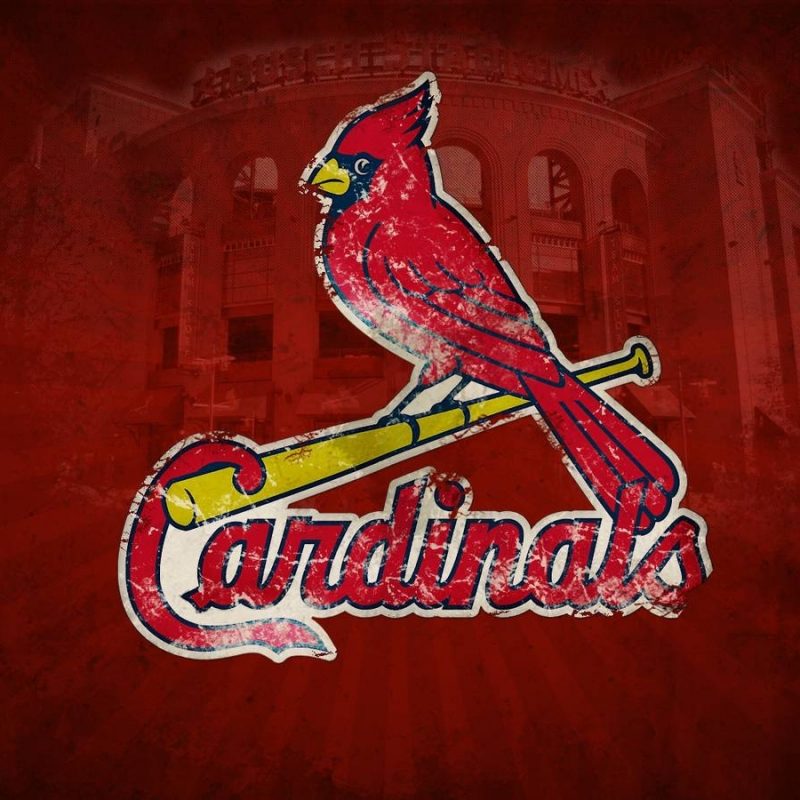 10 New Saint Louis Cardinals Wallpapers FULL HD 1920×1080 For PC Background 2024 free download st louis cardinals desktop wallpapers wallpaper cave 5 800x800