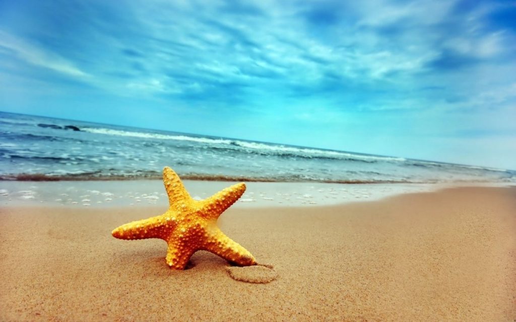 10 New Summer Background For Computer FULL HD 1080p For PC Background 2024 free download starfish summer pictures summer 1024x640