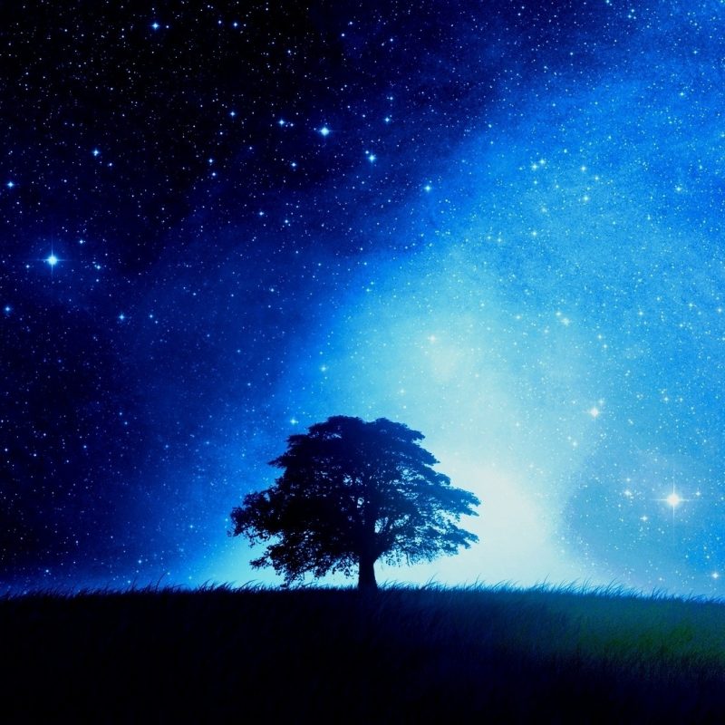 10 New Stars At Night Wallpapers FULL HD 1080p For PC Background 2024 free download stars at night wallpaper 62 images 2 800x800