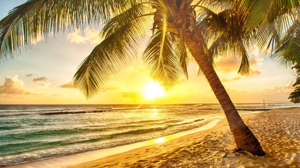 10 New Beach Sunrise Wallpaper Desktop FULL HD 1920×1080 For PC Background 2021 free download sunrise hd wallpapers this wallpaper 1024x576