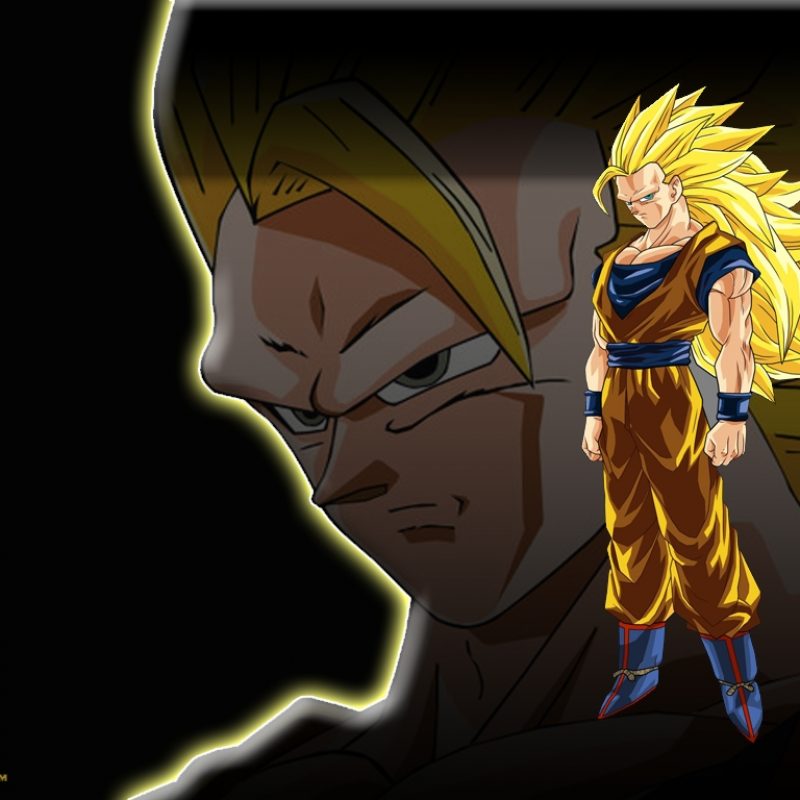 10 Top Goku Super Saiyan 3 Wallpaper FULL HD 1080p For PC Background 2024 free download super saiyan 3 wallpapers wallpaper cave 800x800