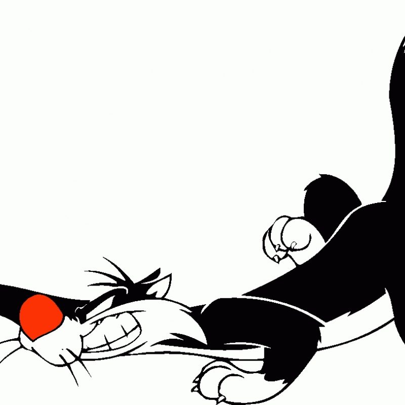 10 Best Pictures Of Sylvester The Cat FULL HD 1920×1080 For PC Desktop 2024 free download sylvester all fours cat inspiration pinterest looney tunes 800x800