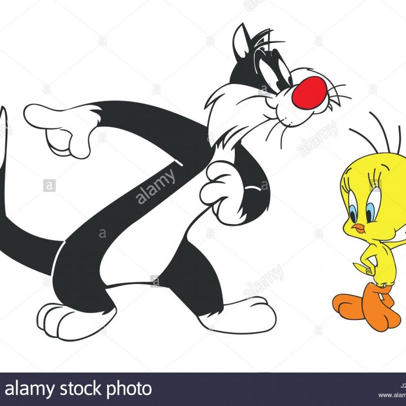 10 Best Pictures Of Sylvester The Cat FULL HD 1920×1080 For PC Desktop 2024 free download sylvester cat tweety bird stock photo 139033404 alamy 800x800