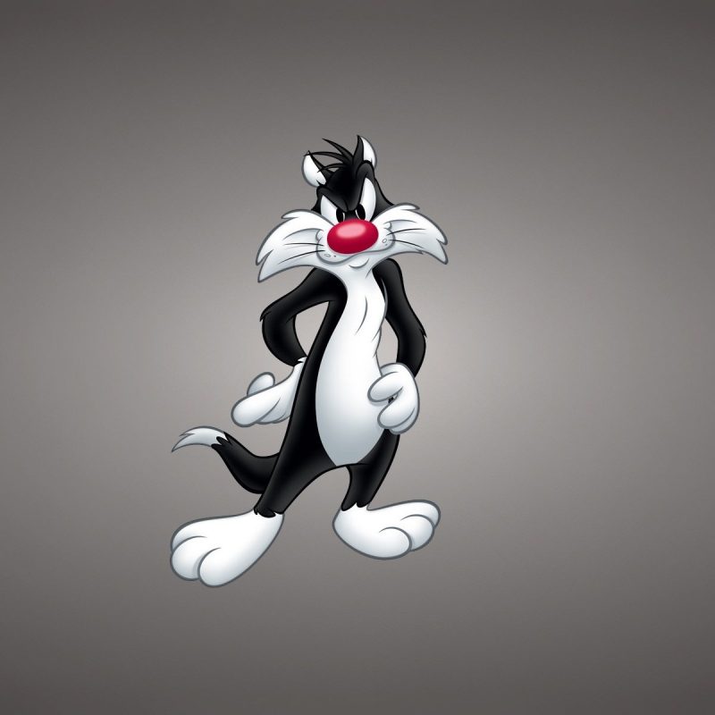 10 Latest Looney Toons Wall Paper FULL HD 1920×1080 For PC Background 2024 free download sylvester the cat full hd wallpaper and background image 1920x1200 800x800