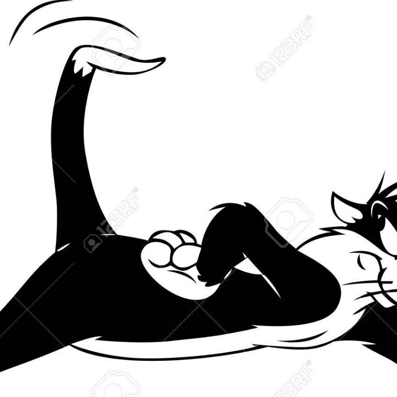 10 Best Pictures Of Sylvester The Cat FULL HD 1920×1080 For PC Desktop 2024 free download sylvester the cat illustration thinking laid down stock photo 800x800