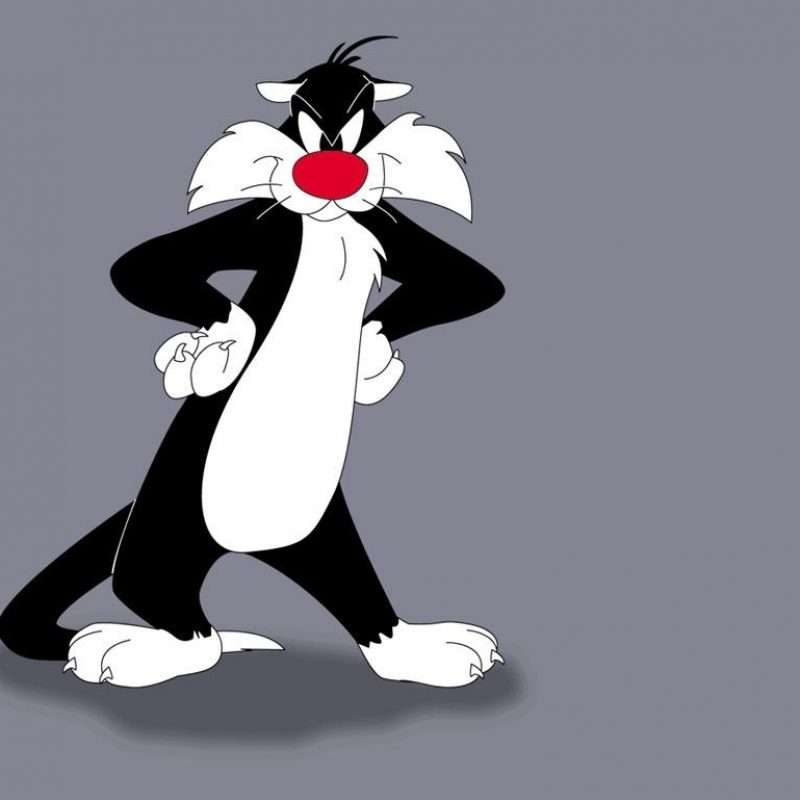 10 Best Pictures Of Sylvester The Cat FULL HD 1920×1080 For PC Desktop 2024 free download sylvester the cat sylvester cat looney tunes looney tunes ect 800x800
