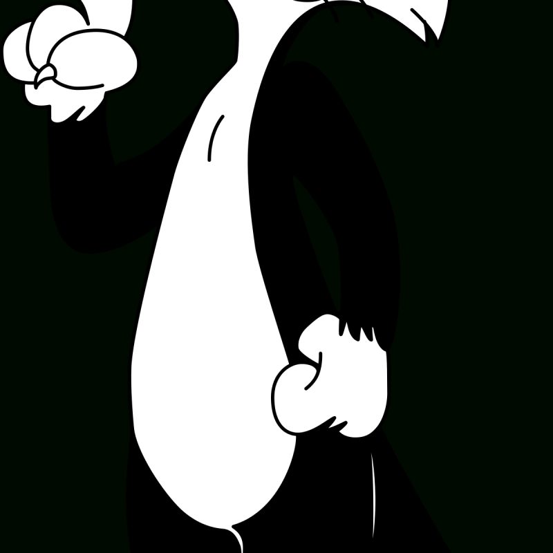10 Best Pictures Of Sylvester The Cat FULL HD 1920×1080 For PC Desktop 2024 free download sylvester the cat wikipedia 800x800