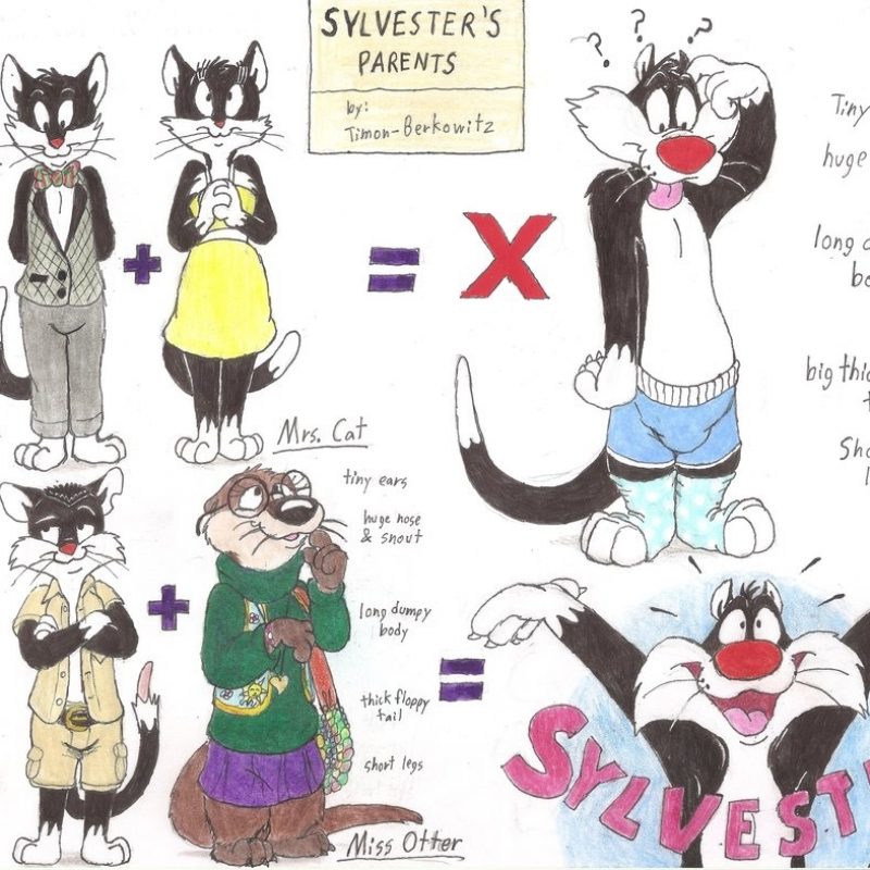 10 Best Pictures Of Sylvester The Cat FULL HD 1920×1080 For PC Desktop 2024 free download sylvester the cats mother and fathertimon berkowitz on deviantart 800x800