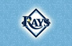 tampa bay rays wallpapers - wallpaper cave