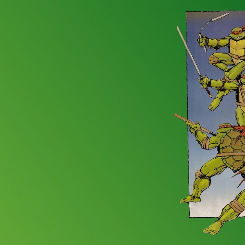 10 Top Teenage Mutant Ninja Turtles Background FULL HD 1920×1080 For PC Background 2024 free download teenage mutant ninja turtles backgrounds group 80 800x800