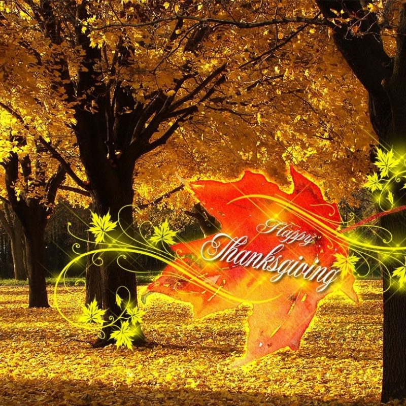 10 Latest Happy Thanksgiving Wallpaper Free FULL HD 1920×1080 For PC Background 2024 free download thanksgiving wallpapers 1 800x800