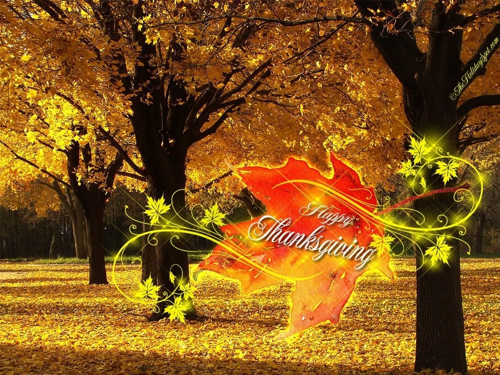 10 Most Popular Free Happy Thanksgiving Wallpaper FULL HD 1920×1080 For PC Desktop 2024 free download thanksgiving wallpapers 1024x768