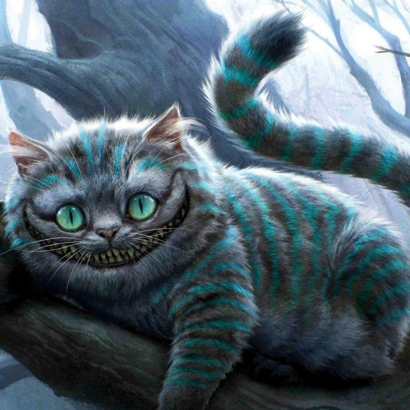 10 Top Cheshire Cat Wallpaper Hd FULL HD 1080p For PC Background 2024 free download the cheshire cat wallpaper cats wallpapers and backgrounds 800x800