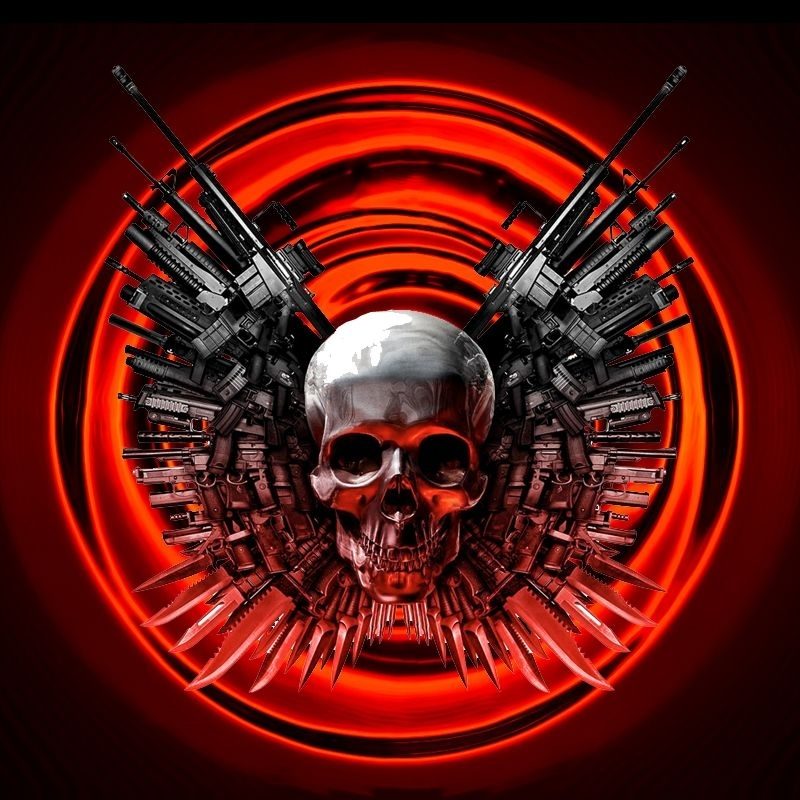 10 New Cool Skull And Guns FULL HD 1920×1080 For PC Background 2024 free download the punisher skull with guns skulls guns wallpaper 1280x800 skulls 800x800