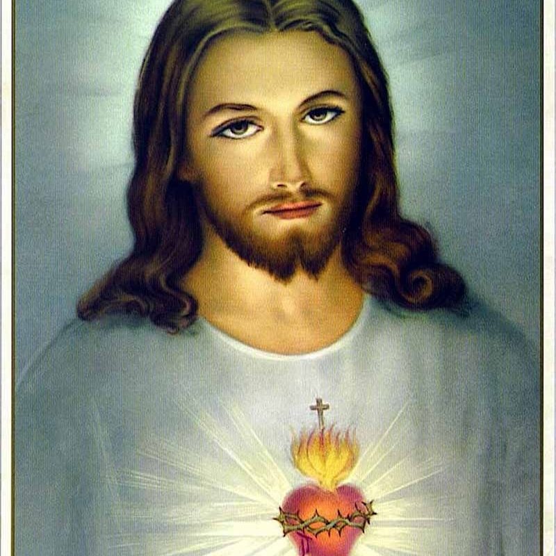 10 New Jesus Sacred Heart Images FULL HD 1080p For PC Background 2023 free download the unfathomable love of jesus christ is symbolizedthe burning 1 800x800
