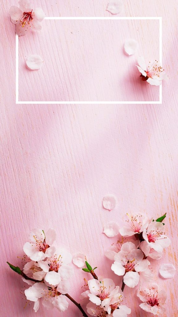 10 New Iphone 7 Rose Gold Wallpaper FULL HD 1920×1080 For PC Background 2024 free download today im styling a lovely flowers and garden wallpaper this is 576x1024