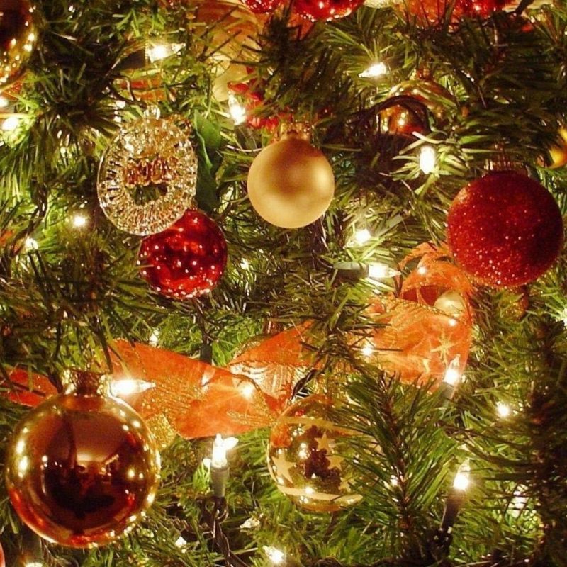 10 Best Christmas Tree Pictures For Desktop FULL HD 1920×1080 For PC Desktop 2021 free download tree decoration hd desktop wallpaper 27448 baltana 800x800