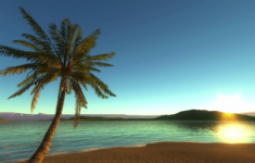 tropical beach background loop motion background - storyblocks video