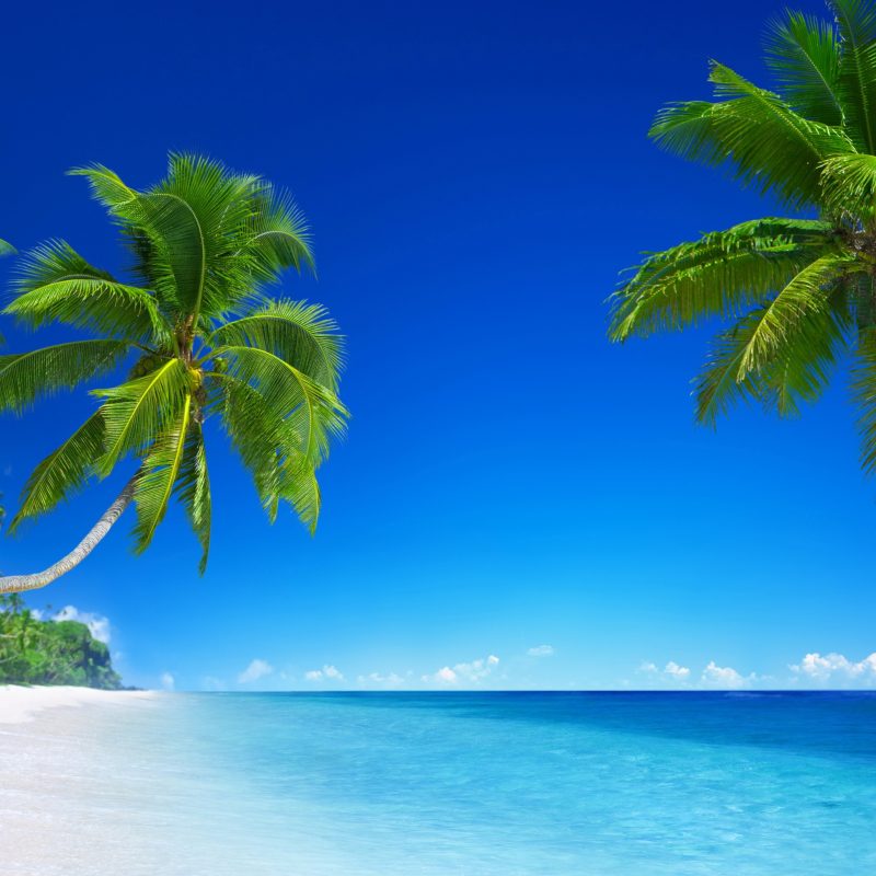 10 Best Ocean Beach Hd Wallpaper FULL HD 1920×1080 For PC Desktop 2024 free download tropical beach paradise 5k wallpapers hd wallpapers id 18455 1 800x800