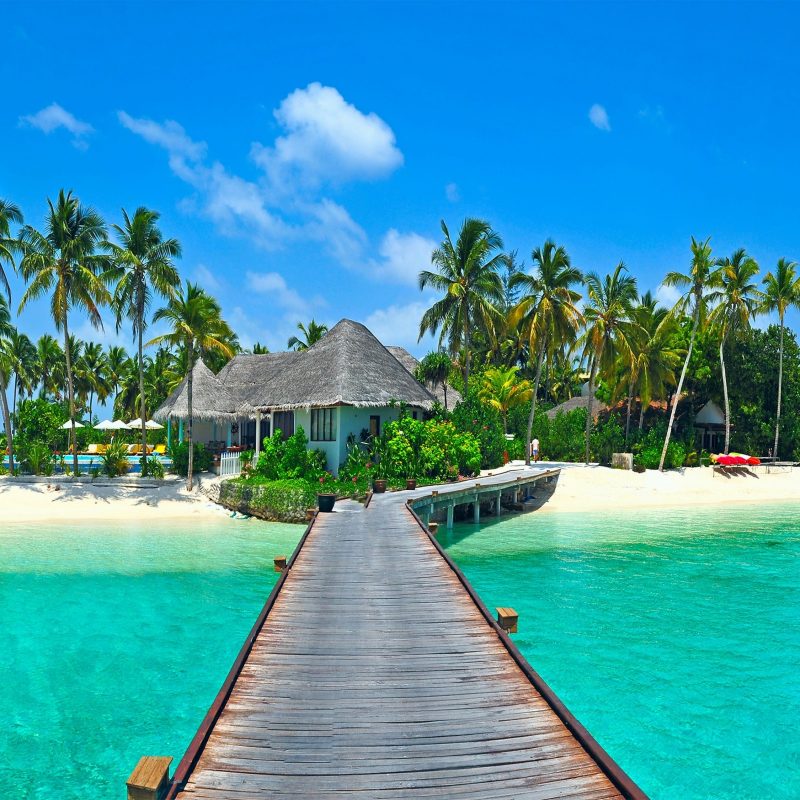 10 Best Tropical Pictures For Desktop FULL HD 1080p For PC Desktop 2024 free download tropical beach wallpaper desktop background lch earth pinterest 800x800