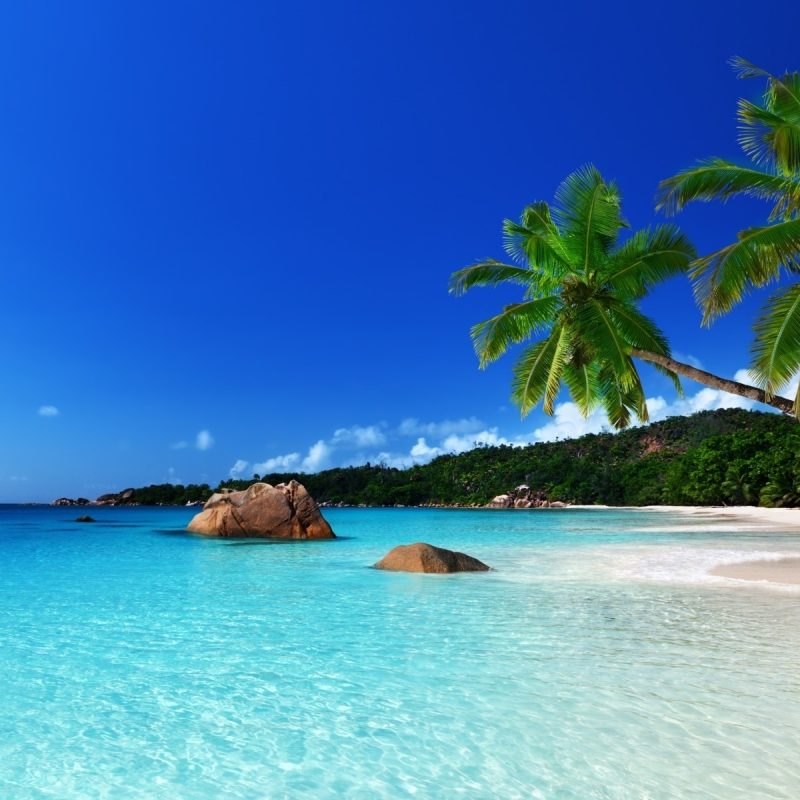 10 Latest Tropical Island Pictures Wallpaper FULL HD 1920×1080 For PC ...