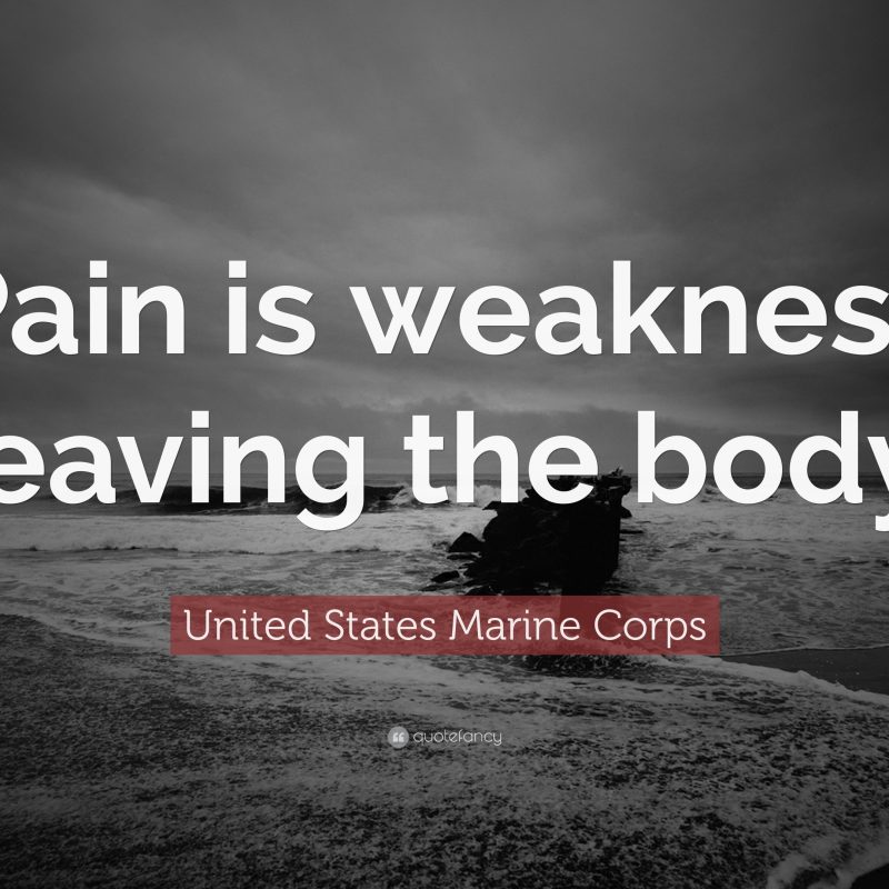 10 Most Popular United States Marine Wallpapers FULL HD 1080p For PC Background 2024 free download united states marine corps quotes 2 wallpapers quotefancy 800x800