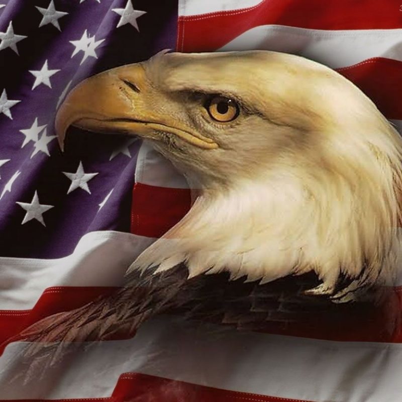 10 Top Eagle And Flag Wallpaper FULL HD 1080p For PC Desktop 2021 free download us flag wallpaper wallpaper id 4 eagle american flag1 800x800