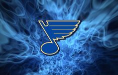 use the form below to report this look at the st louis blues' all