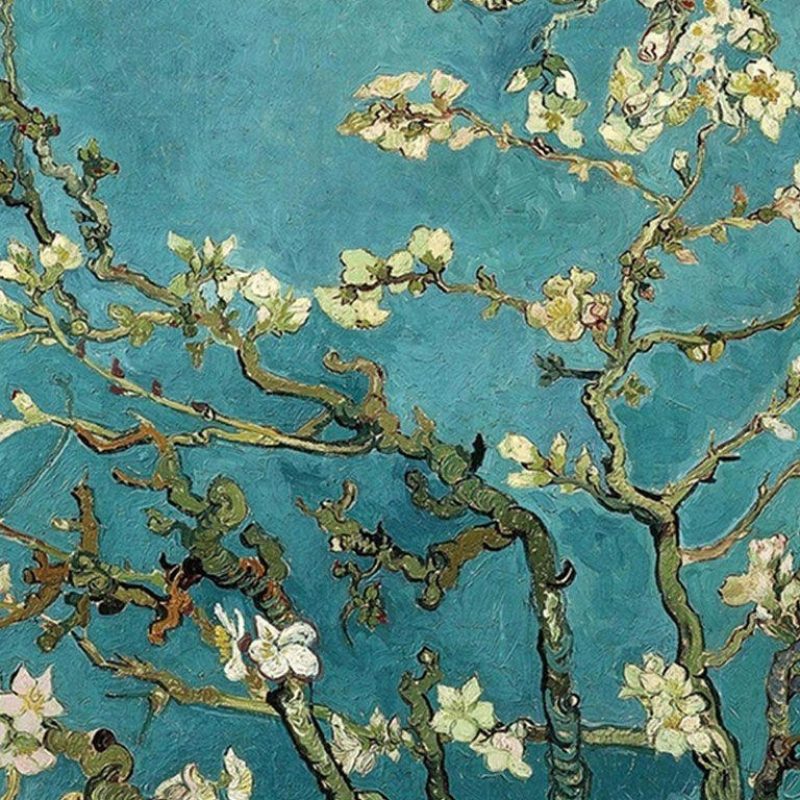 10 New Van Gogh Almond Blossoms Wallpaper FULL HD 1920×1080 For PC Background 2024 free download van gogh blossom wallpapers wallpaper cave 800x800