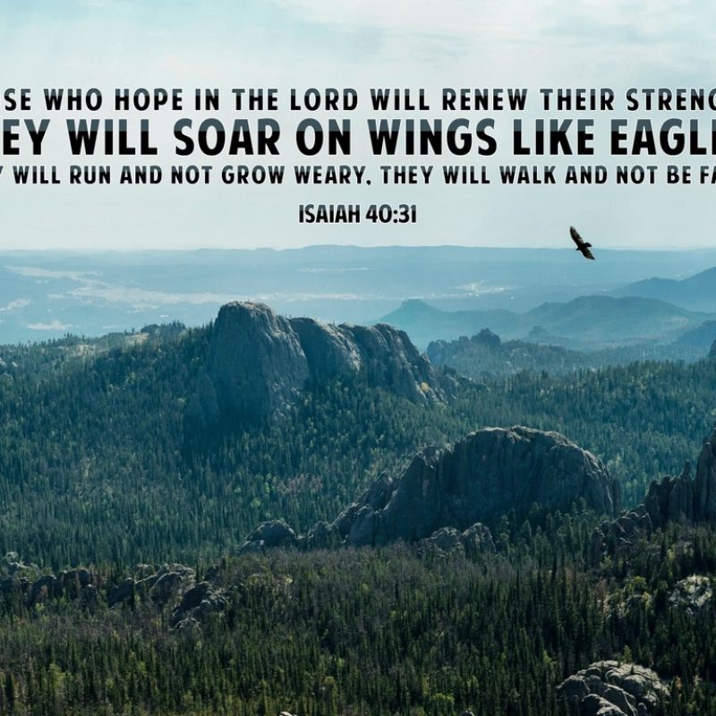 10 Top Bible Verse Wallpaper For Desktop FULL HD 1920×1080 For PC Background 2024 free download verses wallpapers group 1280x1024 wallpapers bible verses 30 800x800
