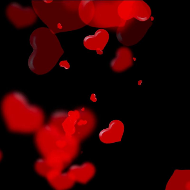 10 Latest Red Heart Black Background FULL HD 1080p For PC Background 2024 free download vivid translucent red hearts on black background valentines day 1 800x800