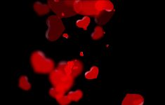 vivid translucent red hearts on black background, valentine's day