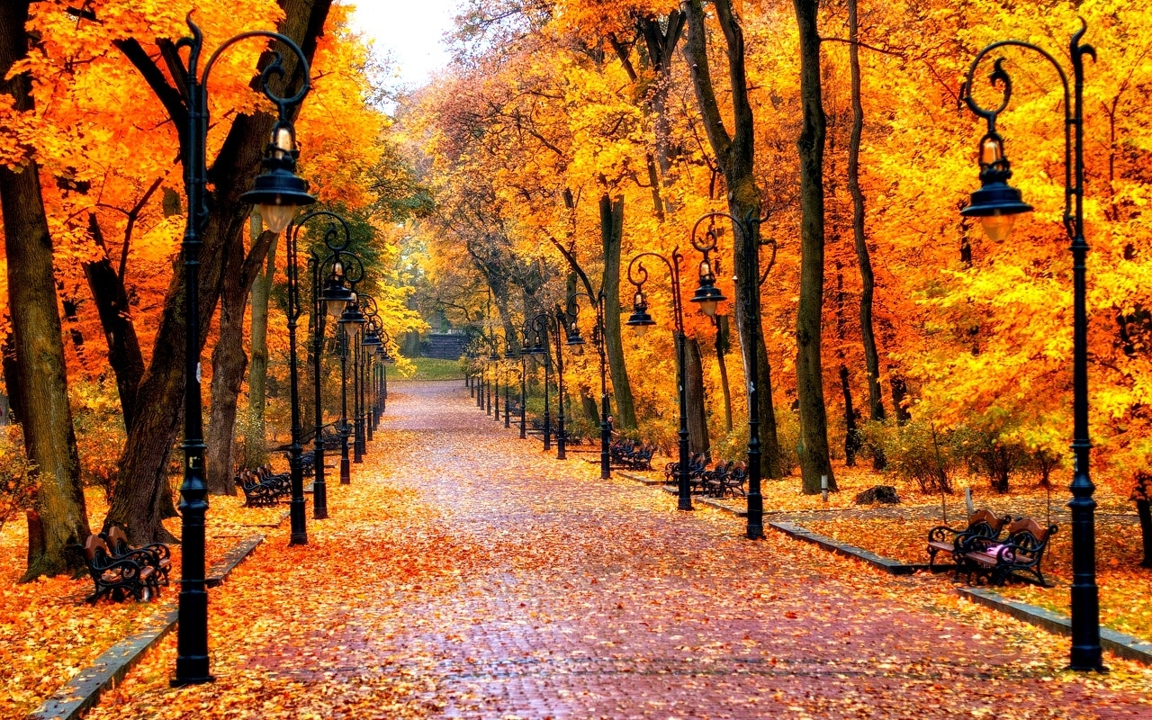 10 Best High Definition Autumn Wallpaper Full Hd 1080p For Pc Background