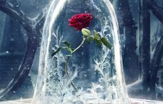 wallpaper beauty and the beast, 2017 movies, disney, rose, movies, #1261