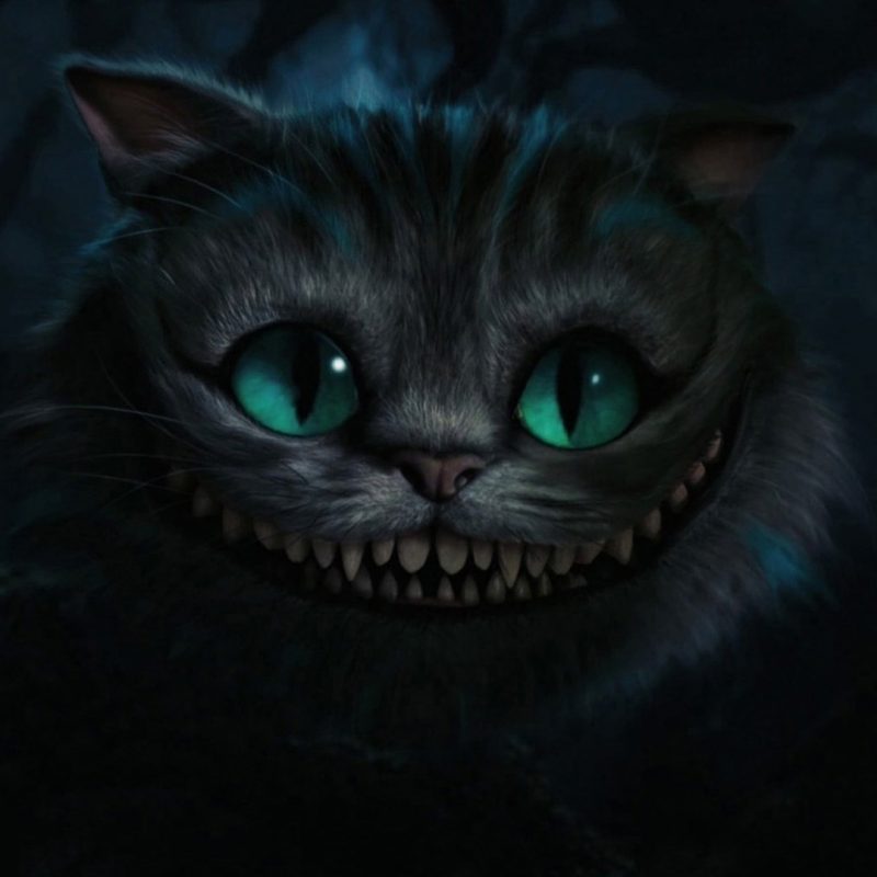 10 Top Cheshire Cat Wallpaper 1920X1080 FULL HD 1080p For PC Desktop 2024 free download wallpaper cheshire cat movies whiskers alice in wonderland 1 800x800
