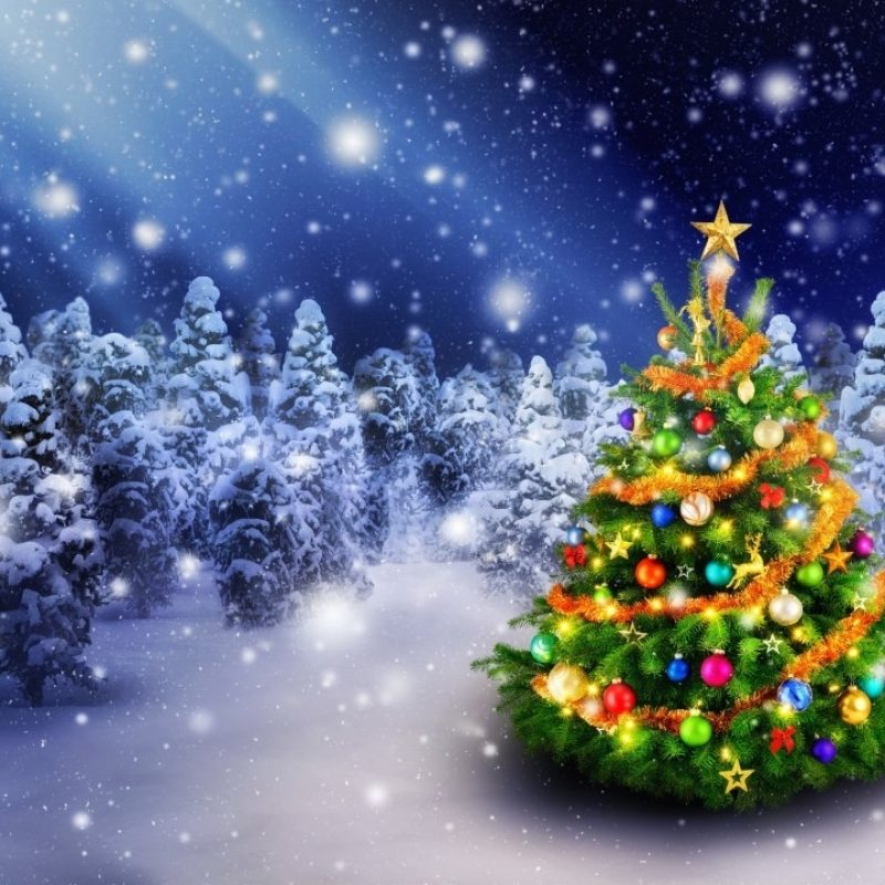 10 Latest Christmas Tree Wall Paper FULL HD 1080p For PC Background 2024 free download wallpaper christmas tree spruce trees decoration snowfall 5k 800x800
