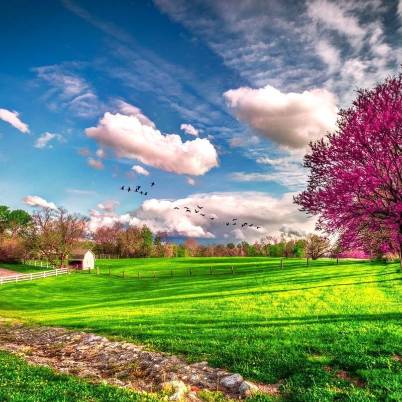 10 Latest Spring Hd Wallpapers 1080P FULL HD 1920×1080 For PC Background 2024 free download wallpaper download 1920x1080 landscape beautiful spring nature 800x800