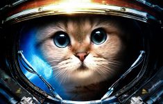 wallpaper download 5120x3200 cat from space. animal wallpapers. hd