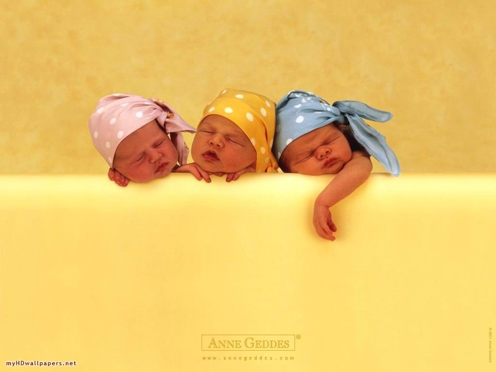 10 Top Anne Geddes Wall Paper FULL HD 1080p For PC Background 2024 free download wallpaper hd wallpaper anne geddes 1024x768