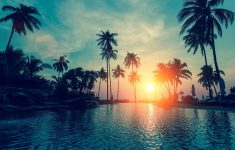 wallpaper sunset, palm trees, tropical beach, hd, nature, #6500